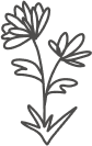 A simple black outline drawing of a single flower with multiple petals and leaves on a thin stem. The flower has two open blossoms and two leaves extending from the stem, with a minimalist style.
