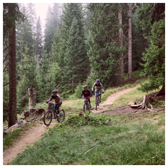 Drei Radfahrer mit Helmen begeben sich auf einen Bikeurlaub in Serfaus-Fiss-Ladis und fahren einen kurvenreichen Feldweg durch einen dichten, grünen Wald. Hohe immergrüne Bäume umgeben sie und entlang des Weges befindet sich eine Mischung aus Gras und Erde. Die Atmosphäre ist neblig und heiter.