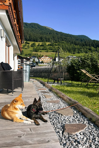 Two dogs lounging on a wooden deck in a backyard, with a background of green hills and scattered houses. Patio furniture and a barbecue smoker are visible, with clear blue skies above.