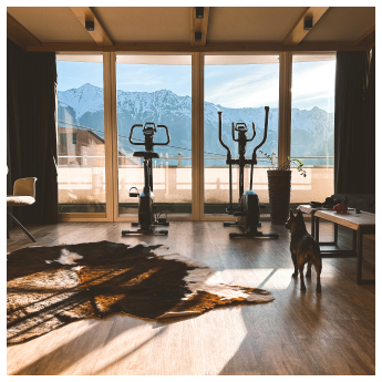 A home gym with two exercise bikes on a wooden floor. A large window reveals a scenic mountain view. A small dog stands on a rug, looking outside. Natural light fills the room.