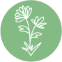 A white line drawing of two flowers with leaves on a green circular background.