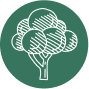 A white sketch of a tree with a round canopy and detailed lines, set against a dark green circular background.
