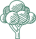 Illustration of a green tree with a simple, abstract design. The tree has a round canopy composed of several circular shapes, and a short trunk with branches connecting to the canopy. The design features diagonal lines for shading.