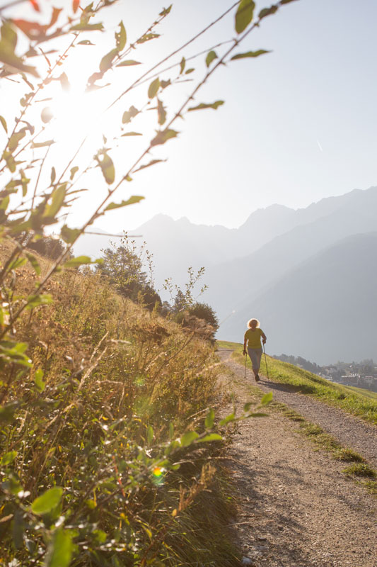 A person walks along a dirt path with hiking poles, surrounded by grass and foliage. The sun is shining brightly, casting a warm glow, and mountains are visible in the background.