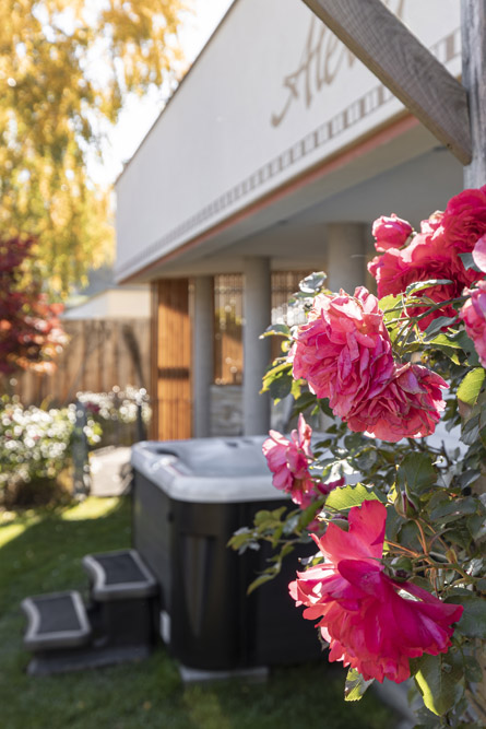 Rosafarbene Rosen im Fokus, mit einem Whirlpool und einem Gebäude im unscharfen Hintergrund.