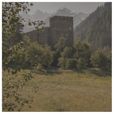 Steinschlossturm in der Nähe des Alpenresorts, eingebettet zwischen Bäumen, Bergen und einer grasbewachsenen Wiese.